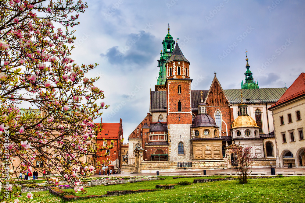 Obraz Wawel Cathedral, Krakow