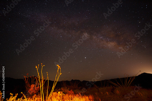 The Milky Way rising over desert plants and mountains