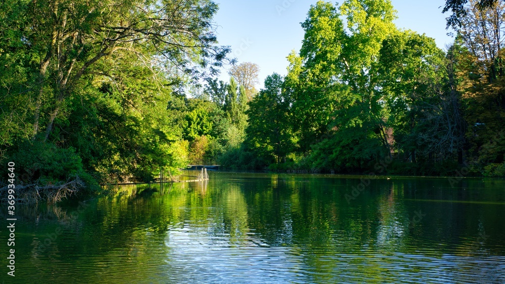 Green trees and beautiful lake early morning in the summer Green trees and beautiful lake early morning in the summer