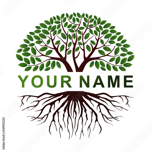 Circular tree logo, mangrove plant with text in the middle