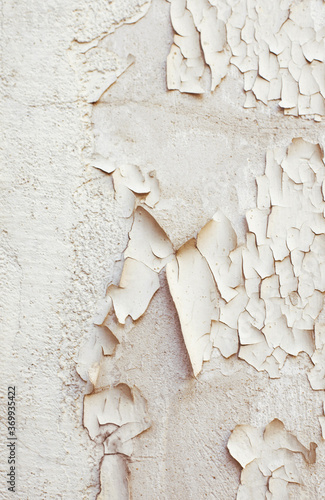 Old wall. The cracked plaster. White. Cracks in the wall.