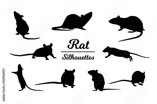 Rat animal silhouettes. Black and white outline.