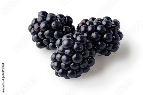 Ripe blackberries isolated on white background. Clipping path