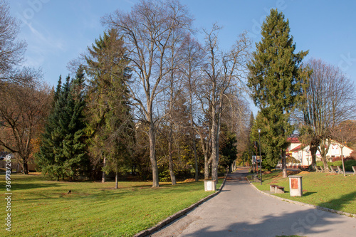 autumn in the city