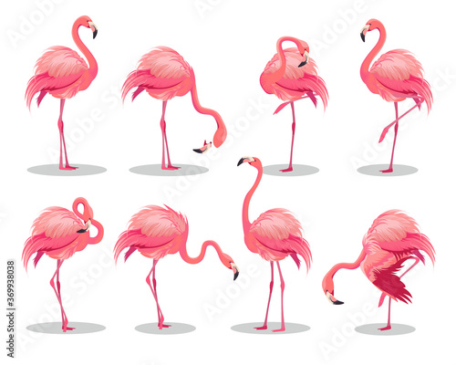 Set of realistic pink flamingos © NADIIA