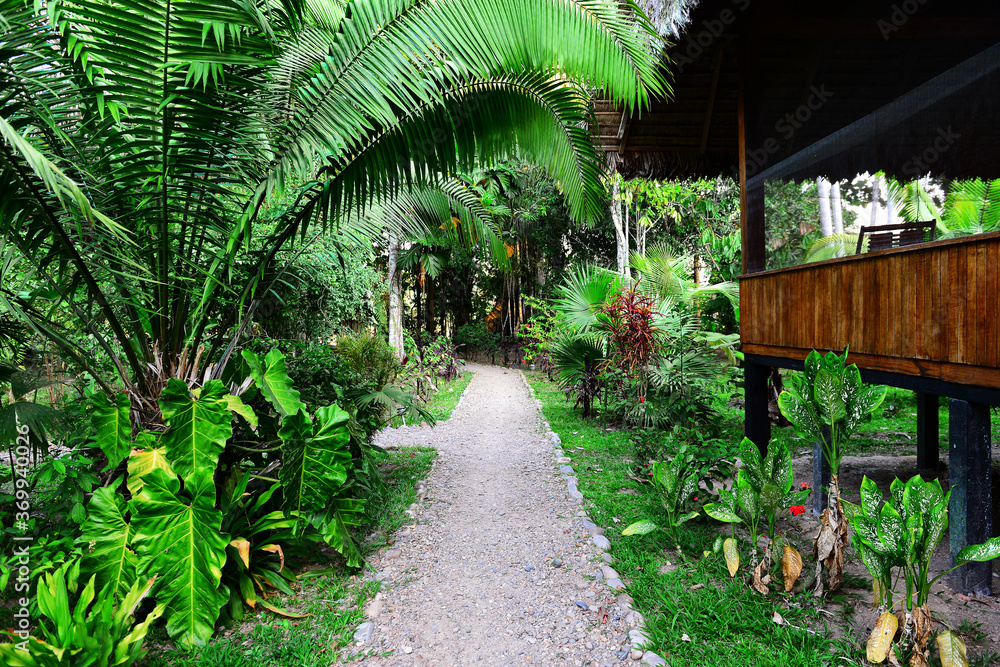 Footpath in a Tropical Garden