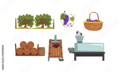 Wine Production Process, Alcoholic Beverages Making Equipment, Grapes Harvesting, Pressing, Fermentation Cartoon Style Vector Illustration
