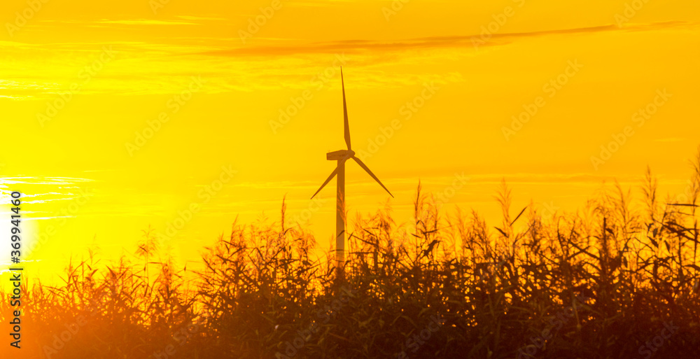 Obraz premium Wind turbines in a misty agricultural field in the countryside with a yellow sky at sunrise in summer, Almere, Flevoland, The Netherlands, August 6, 2020
