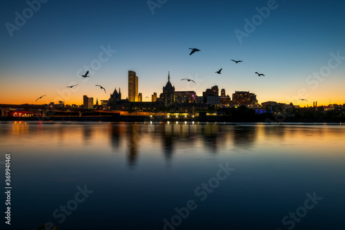 Geese over Albany New York