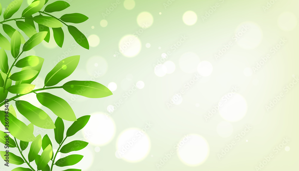 green leaves background with text space green leaves background with text space