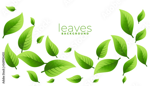 floating or falling green leaves background design