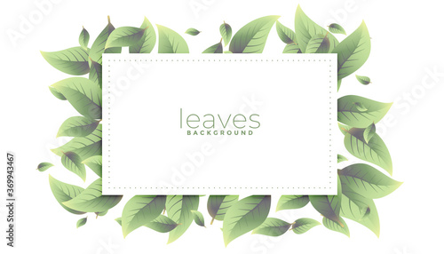 green leaves rectangular frame background design