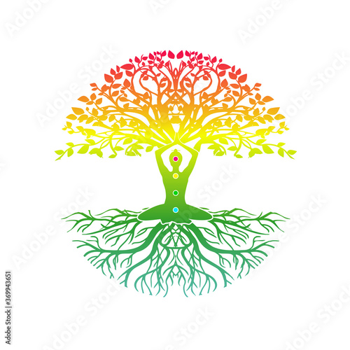 Circular Shapes Vector Hd PNG Images, Yoga Tree Logo With Circular Shaped,  Meditation, Yoga, Tree PNG Image For Free Download