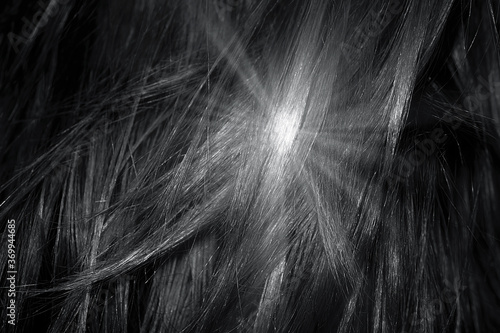 Black shiny hair as background. Sun flare © MAKOVSKY ART