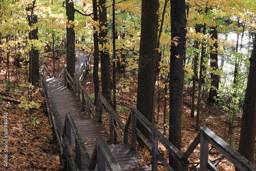                                                                   Heart Lake Conservation Park