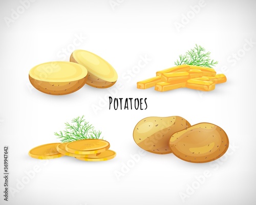 Potatoes vector set, whole, half, unpeeled, fried, homemade chips, dill twig in flat style. Vegetable organic eco bio farm product.