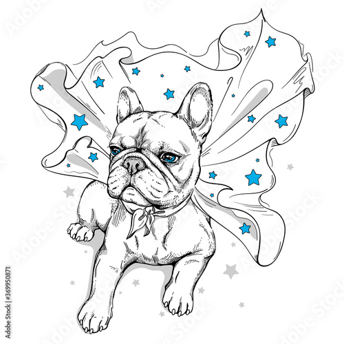 Cute french bulldog in a superhero cape. A dog in a cape with stars. Stylish image for printing on any surface