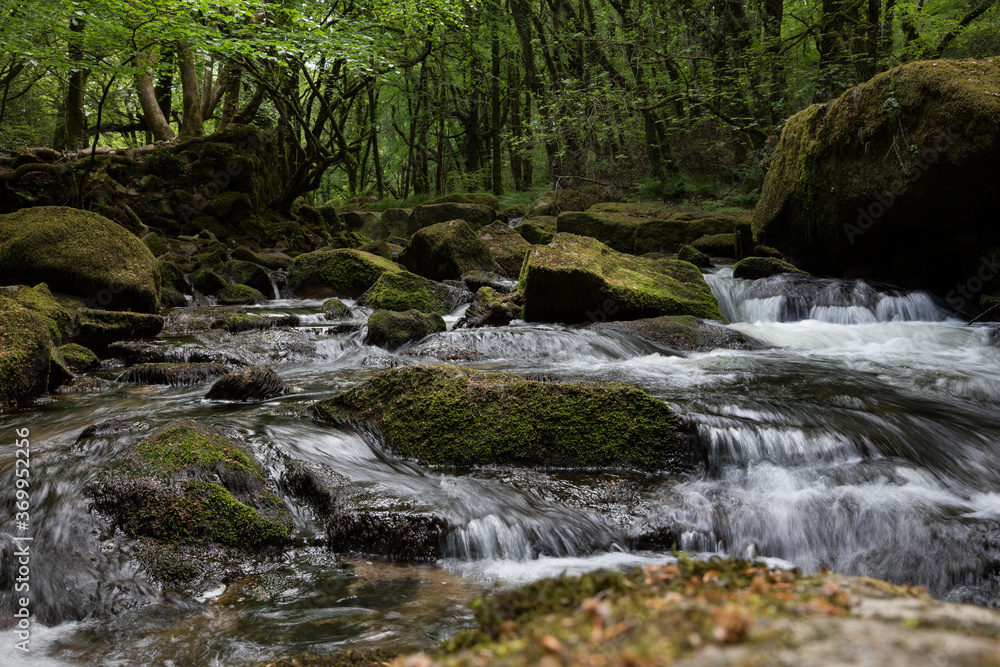 Golitha Falls cascades of River Fowey in Cornwall, UK Golitha Falls cascades of River Fowey in Cornwall, UK