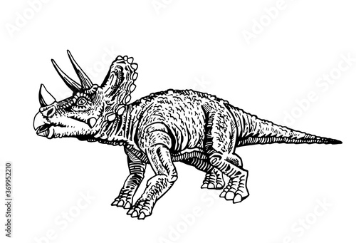 Vector triceratops  isolated on white background, graphical illustration