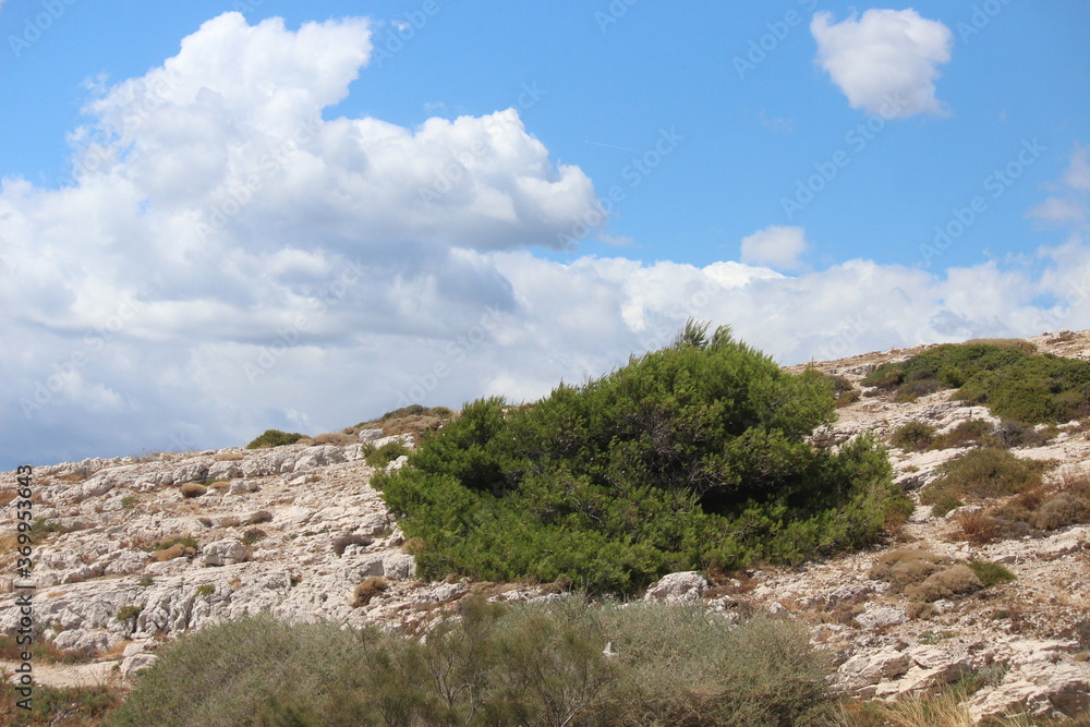 Obraz premium Calanques de Marseille