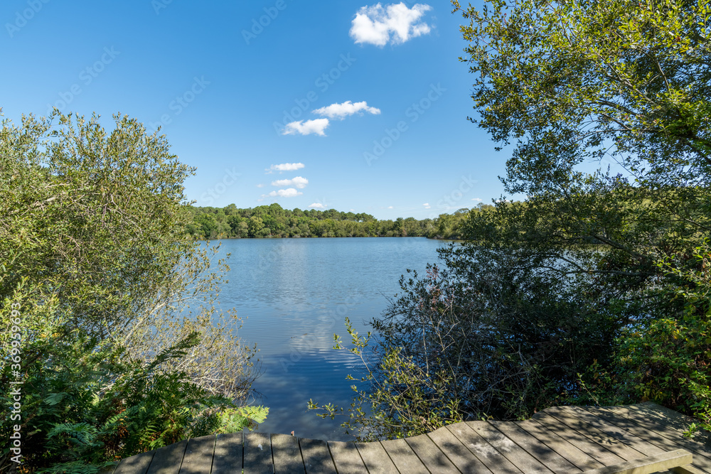 HOURTIN (Médoc, Gironde, France). La lagune de Contaut