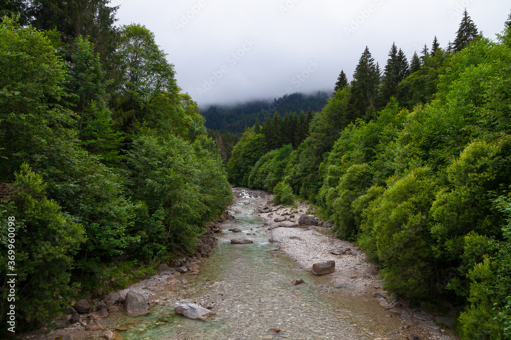 Wildfluss in einem Tal mit tiefgrünen Laubbäumen und Nebel im Hintergrund