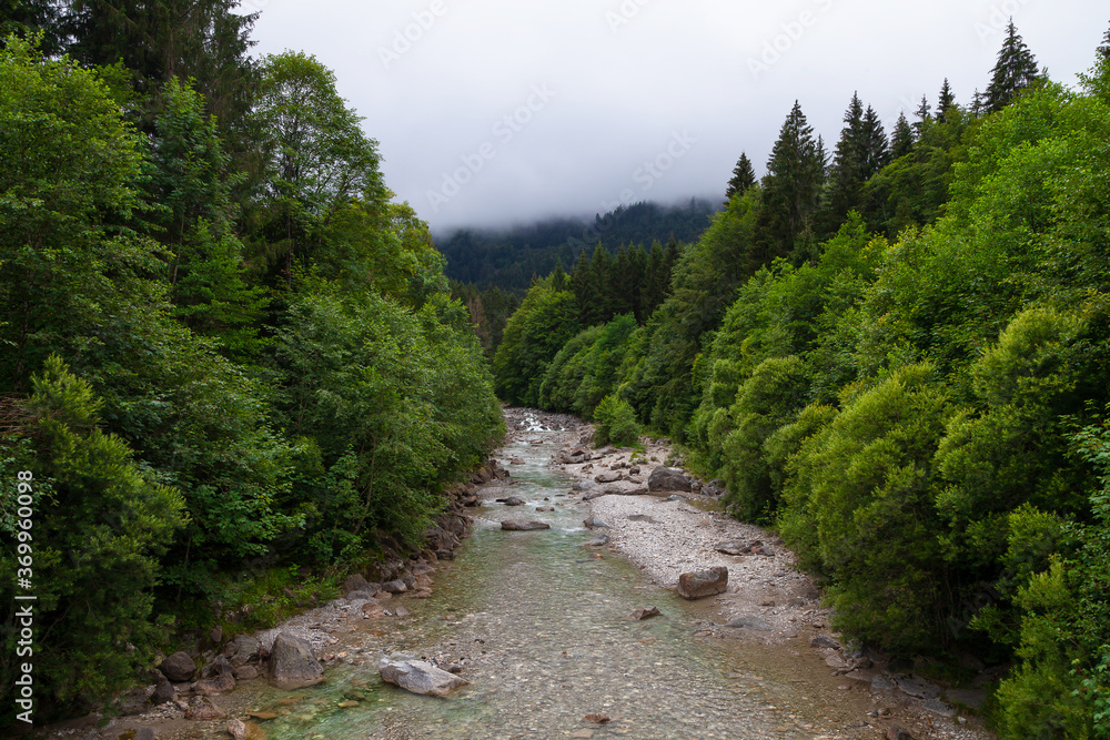 Wildfluss in einem Tal mit tiefgrünen Laubbäumen und Nebel im Hintergrund Wildfluss in einem Tal mit tiefgrünen Laubbäumen und Nebel im Hintergrund