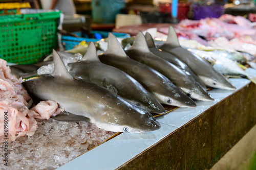 Group of baby shark fish for sale in fresh market at Hat Yai photo