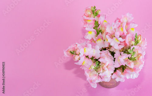 Fototapeta Naklejka Na Ścianę i Meble -  Bright summer flowers on a pink background. Place of text.