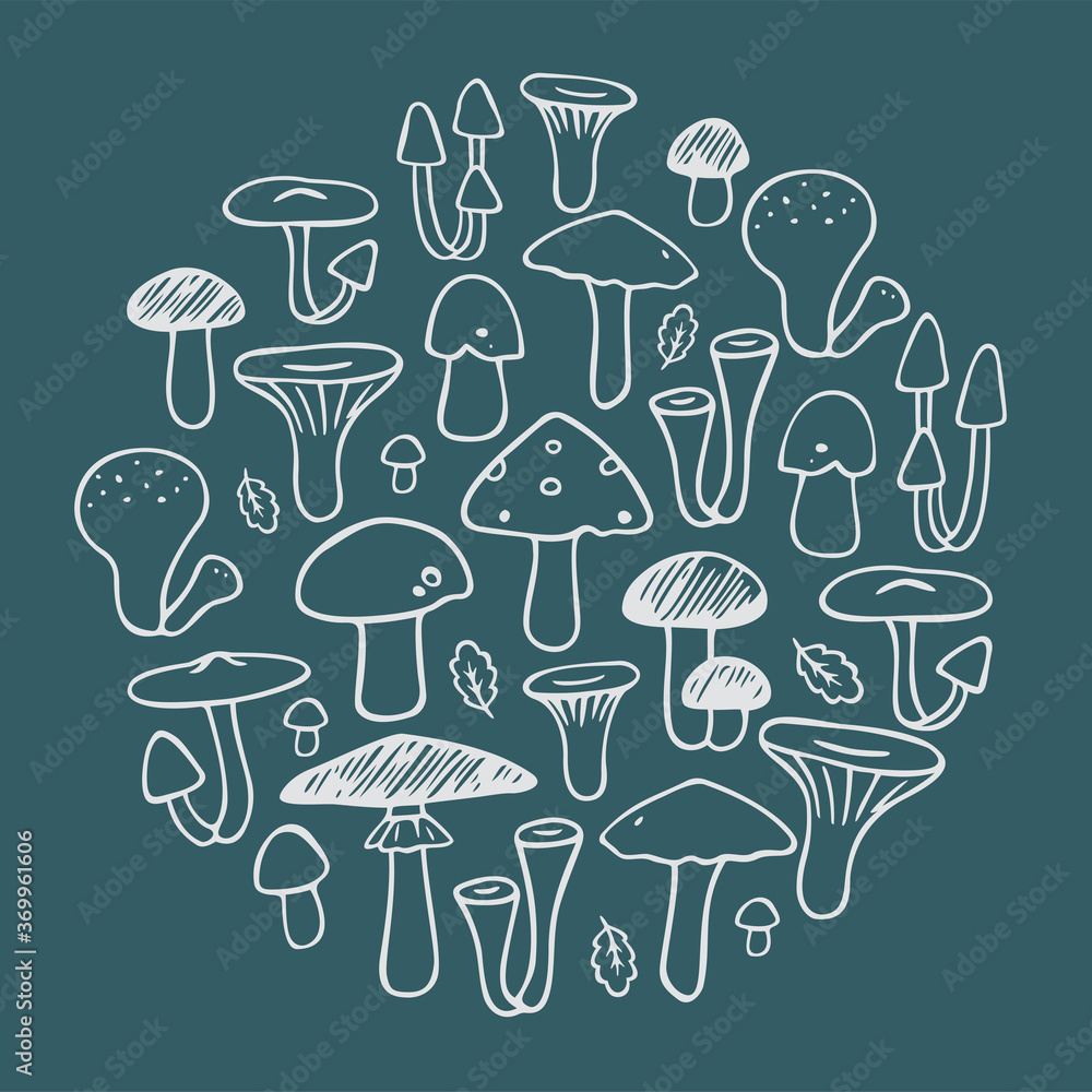 Set of edible and inedible mushrooms in a circle. Hand drown vector illustration. Set of edible and inedible mushrooms in a circle. Hand drown vector illustration.