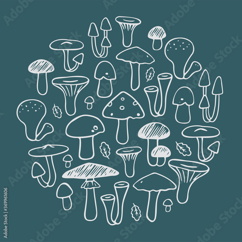 Set of edible and inedible mushrooms in a circle. Hand drown vector illustration.