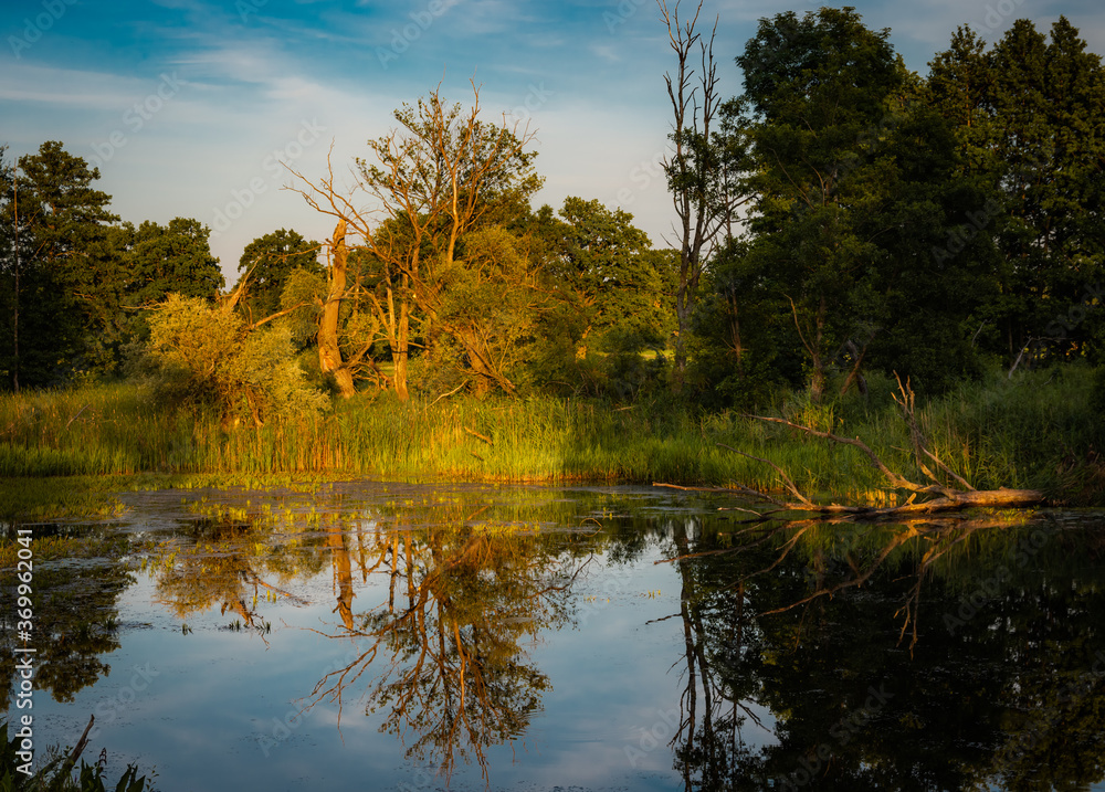 Marshes at the golden hour next to the Monastery of Saint Onofrio in the village of Jabłeczna in Poland. Marshes at the golden hour next to the Monastery of Saint Onofrio in the village of Jabłeczna in Poland.