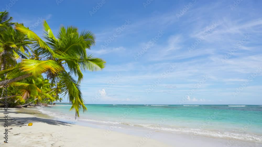 Hawaii islands wild palm beach background. Clear blue sea, white clear sand beach, palms, and sky. Hawaii islands wild palm beach background. Clear blue sea, white clear sand beach, palms, and sky.