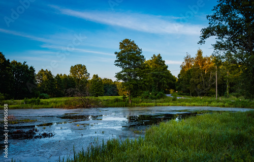 The road by the swamps at the golden hour in the village of Jableczna in Poland. photo