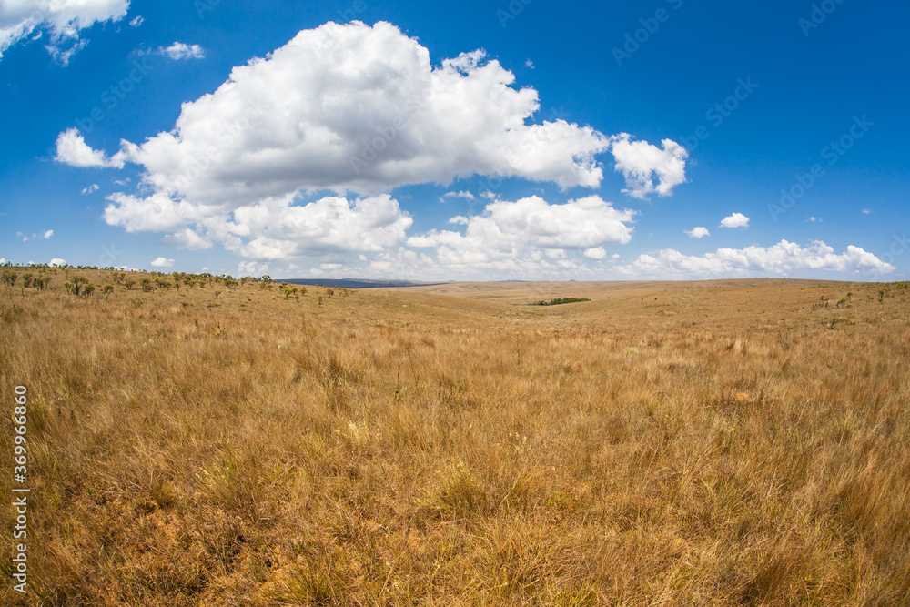 Dry fields at Serra da Canastra National Park - Minas Gerais - Brazil