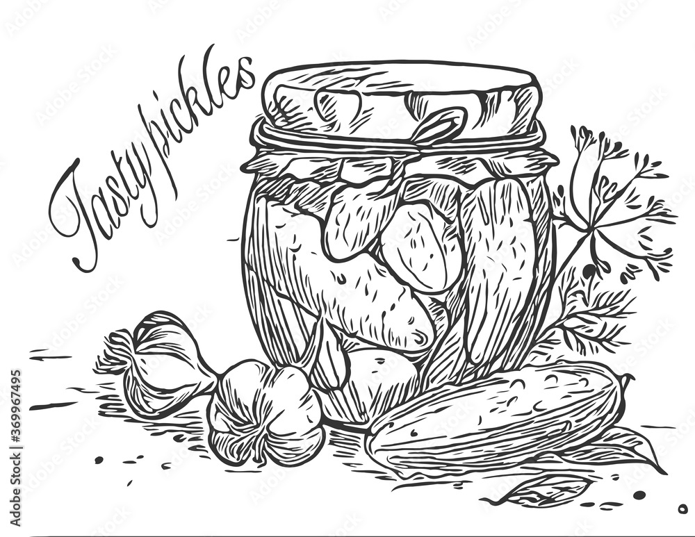 Pickled cucumbers vegetables in a glass jar and cucumber with leaves and a garlic. Ingredients for pickling cucumbers. Vector drawn line art illustration Pickled cucumbers vegetables in a glass jar and cucumber with leaves and a garlic. Ingredients for pickling cucumbers. Vector drawn line art illustration