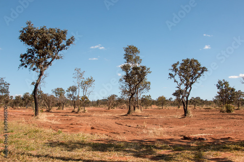 Εκτύπωση καμβά Land that local Indigenous people were living on that is being cleared to make r