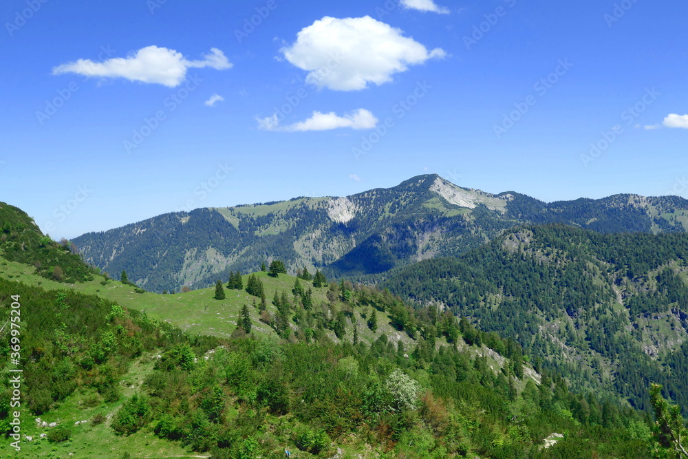 Fototapeta premium panorama in the bavarian mountains seen from Halserspitz