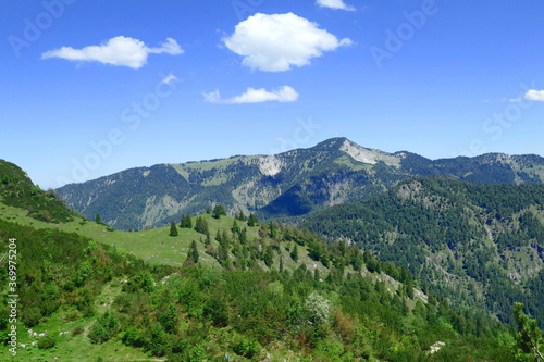 panorama in the bavarian mountains seen from Halserspitz