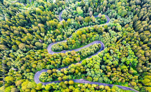 Winding road in Carpathian Mountains forest