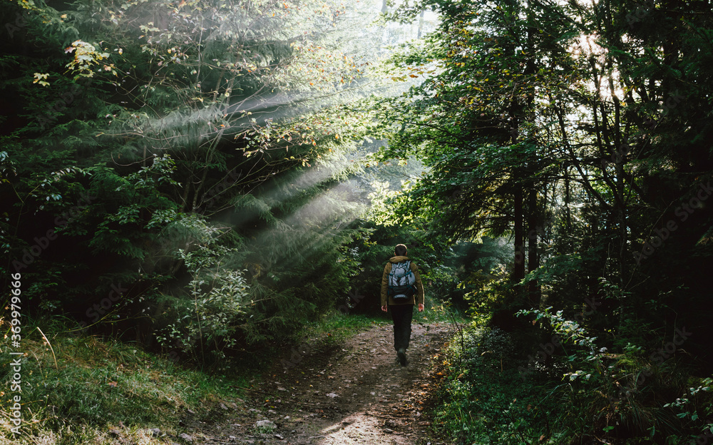 Man hiking in the morning on trail Man hiking in the morning on trail