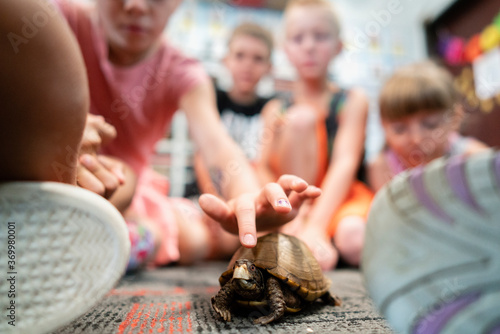 Students on Classroom Floor with Tortoise photo
