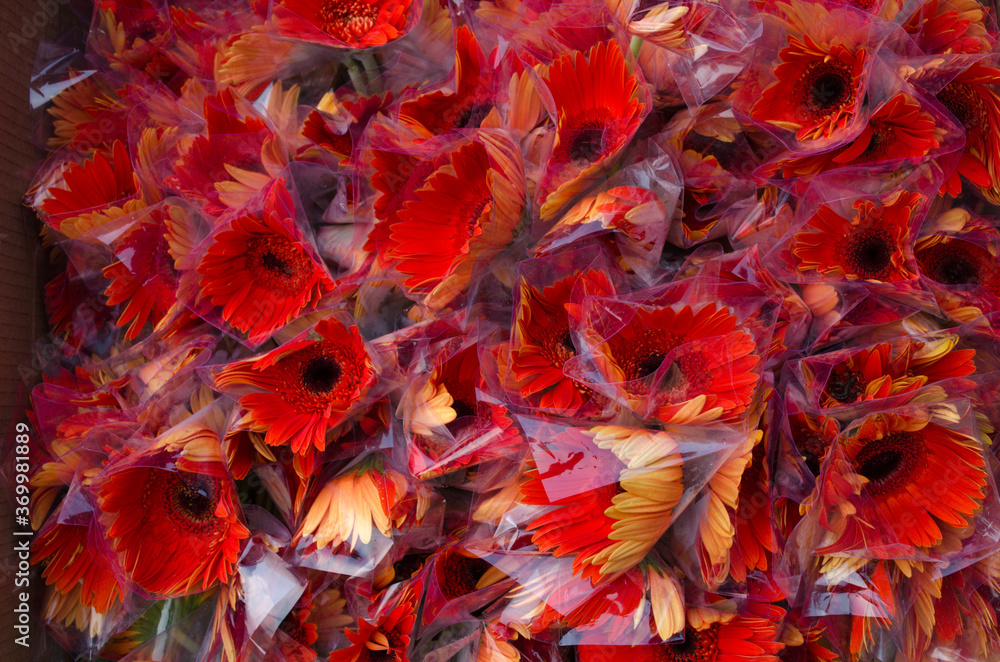 red and yellow flower background red and yellow flower background