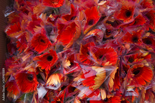 red and yellow flower background