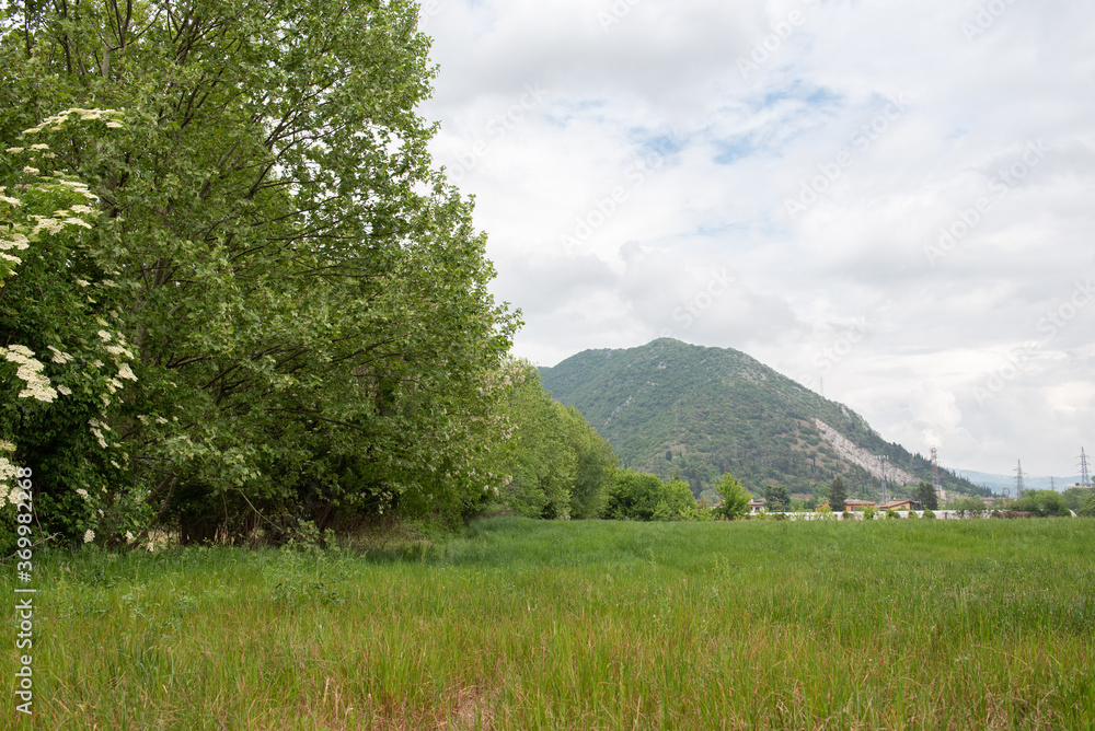Fototapeta premium Field with green grass on a background of mountains and cloudy sky. Let's save the world.