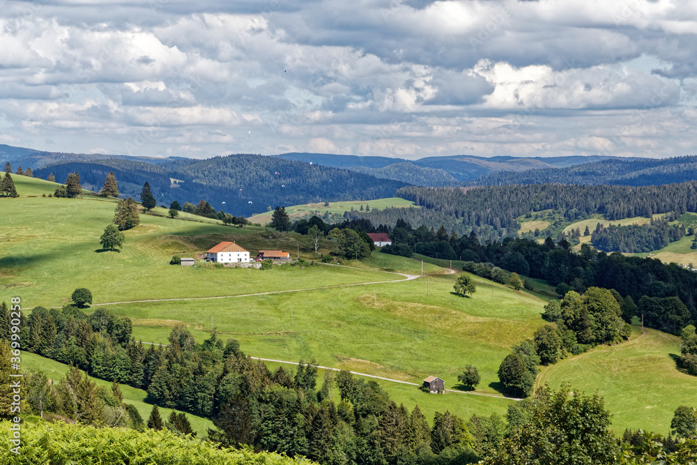 Obraz premium Paysage des Vosges.