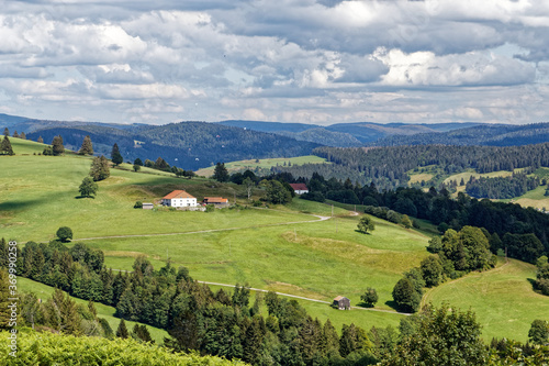 Paysage des Vosges. © Olympixel