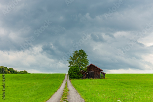 Wanderweg über Wiesen im Allgäu photo