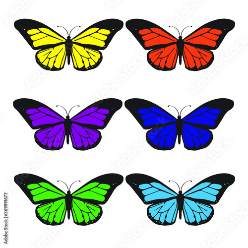 mariposa