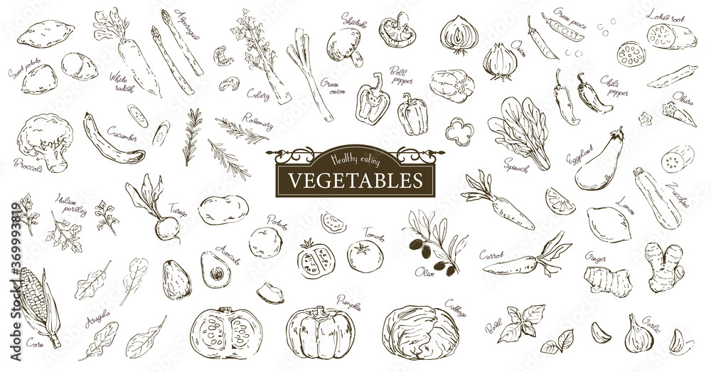 おしゃれでラフな野菜のスケッチイラストセット Stock Vector Adobe Stock